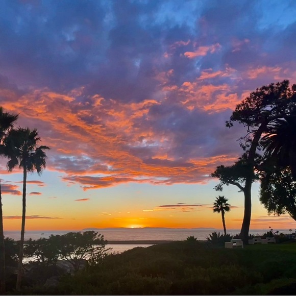 Meet your Posher, Elle - Picture 2 of 8